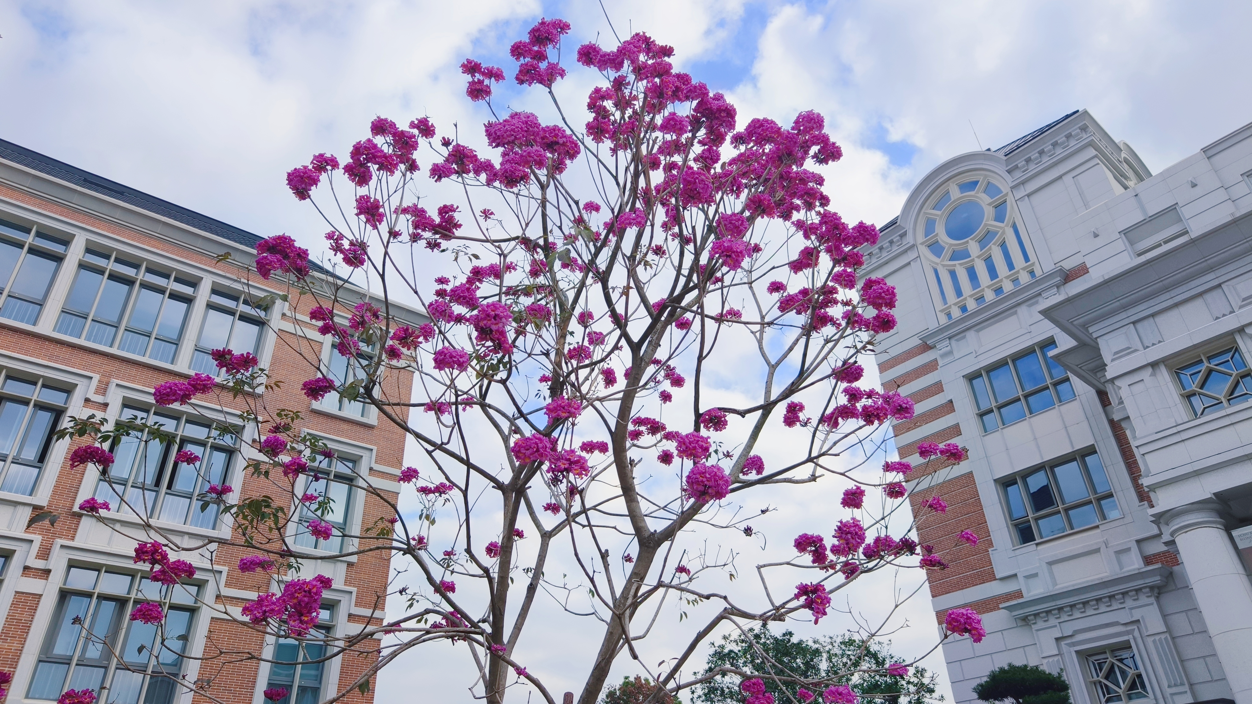 ΢ÐÅͼƬ_20231211093629.jpg ΢ÐÅͼƬ_20231211093629.jpg